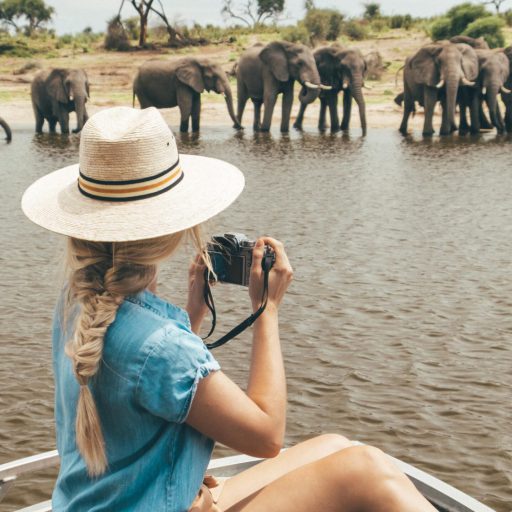 tanzania-safaris tanzania-safaris